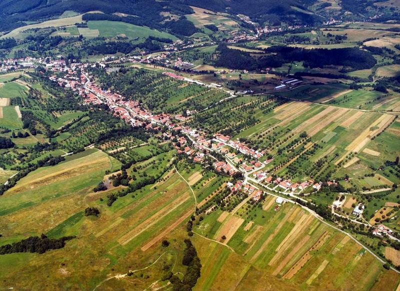 Nedašov