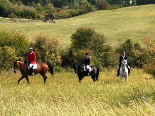 Po formanských stezkách křížem krážem Moštěnkou a Hříběcími horami - trasa MAS Hříběcí hory