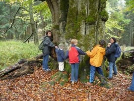 Kolik nás buk obejme?