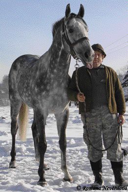 František Holčák - Valencio