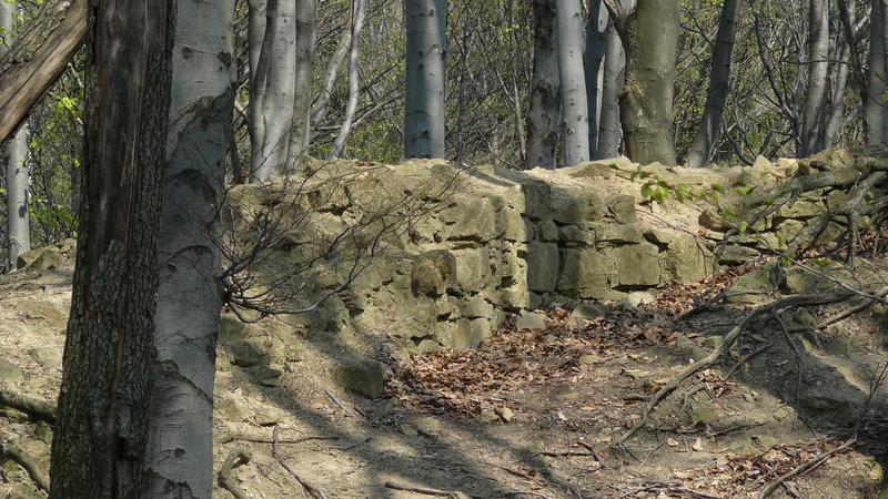 Zřícenina hradu Starý Světlov