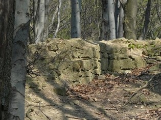 Zřícenina hradu Starý Světlov