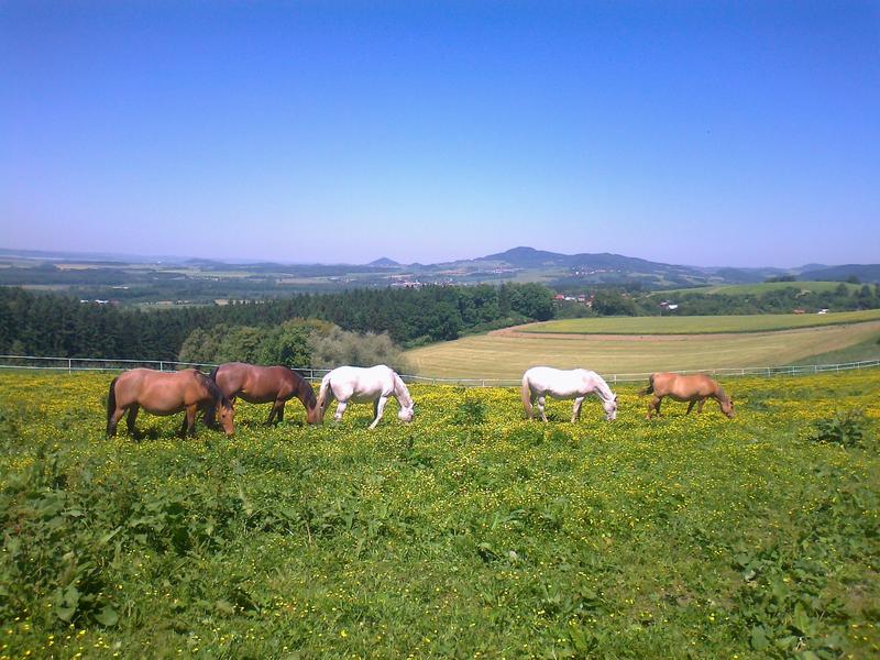 Farma Vystrkov - Poličná Valašské Meziříčí