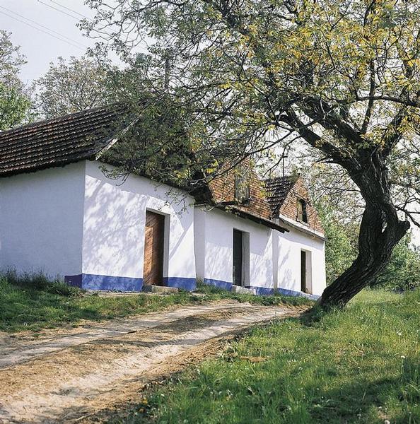 Vlčnov