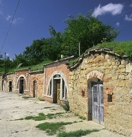 Polešovice - vinné sklepy