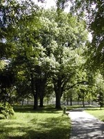 zámecký park