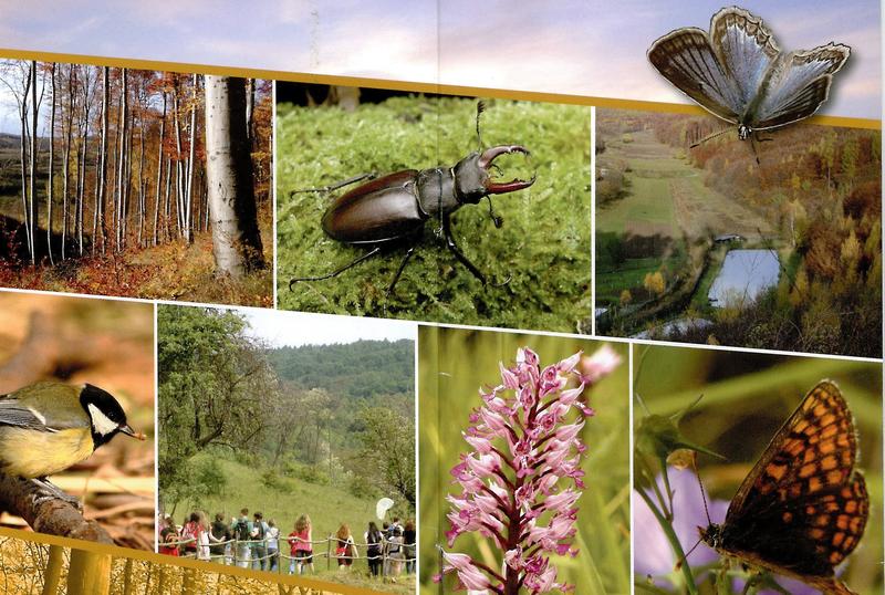 Naučná stezka Ždánickým lesem