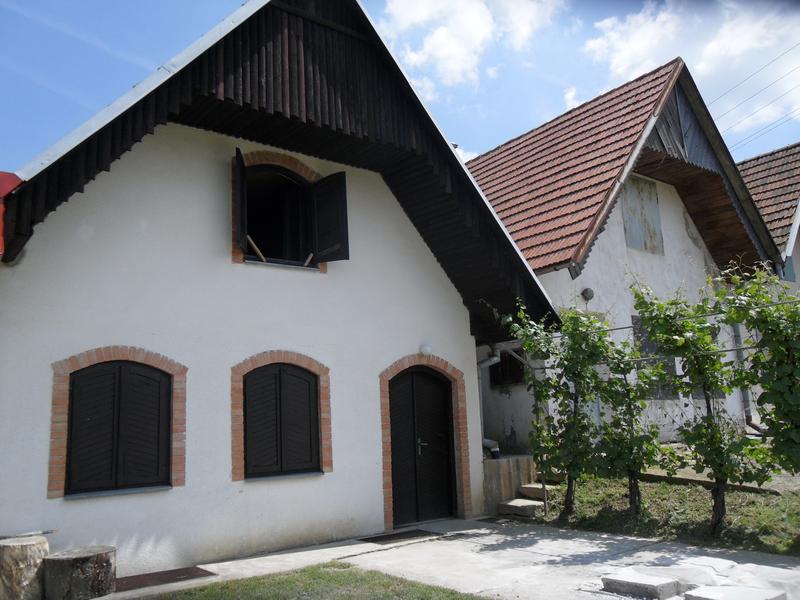 Otevřený sklep v Zarazicích