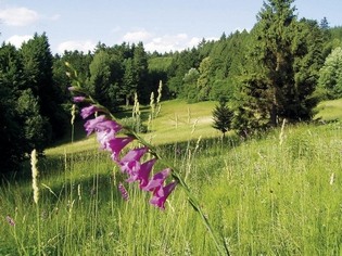 Vizovická vrchovina a Bílé Karpaty