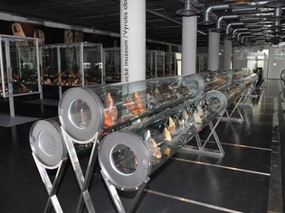 Muzeum jihovýchodní Moravy ve Zlíně