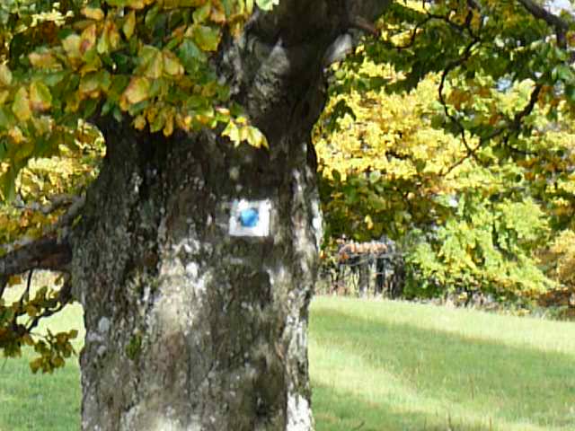 Jezdecký okruh Valašsko (Beskydy)