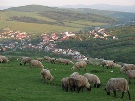 Panorama Strání od Ovčárny