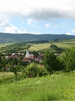 Pohled na dědinu z Březovské cesty