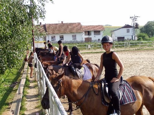 Nabídka táborů a jezdeckých kurzů a anglických pobytů pro rok 2014