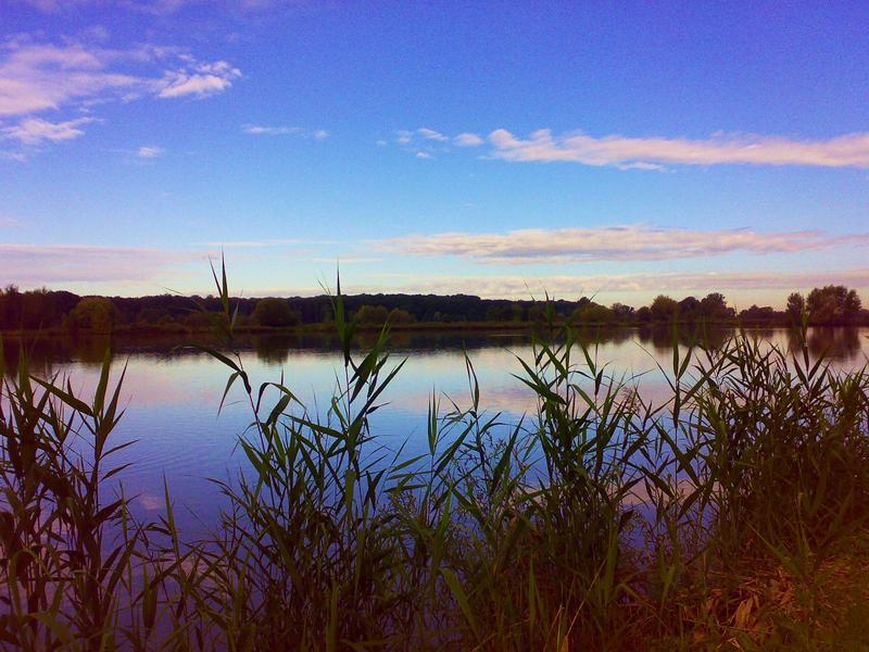 Přírodní park Záhlinické rybníky