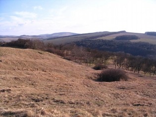 Babí hora, přírodní památka