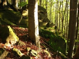 Přírodní rezervace Smrdutá