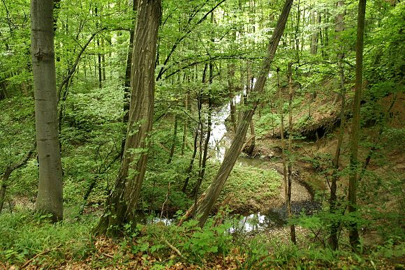 přírodní rezervace Stará Hráz