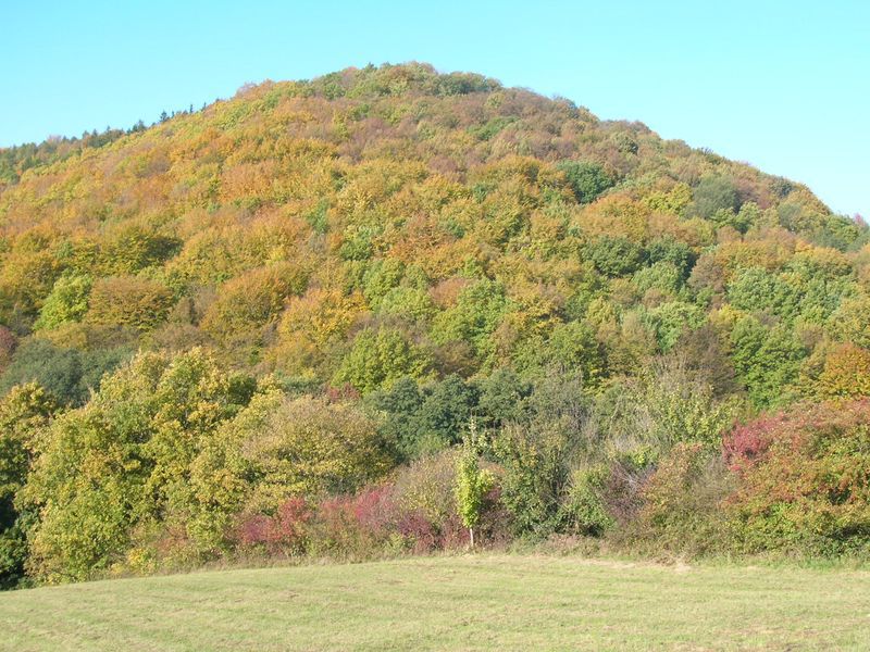 Zřícenina hradu Zuvačov