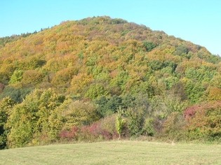 Zřícenina hradu Zuvačov