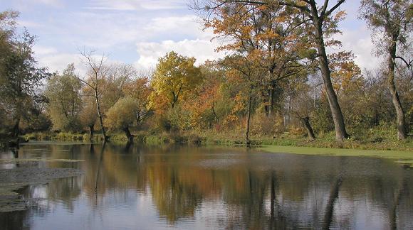 Přírodní památka Stonáč