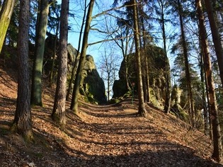 Králky, přírodní památka