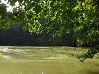 Bezedník, přírodní památka