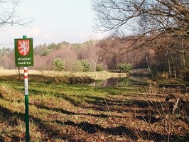 Přírodní památka Jezero