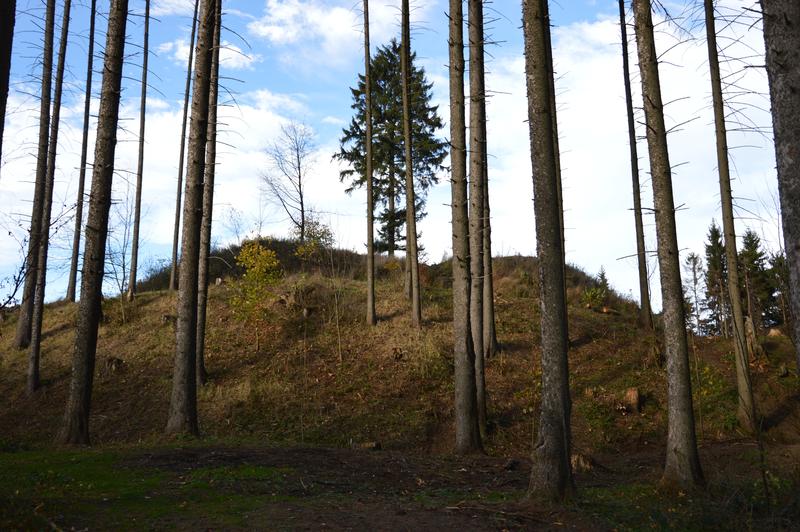 Zřícenina hradu Zubříč