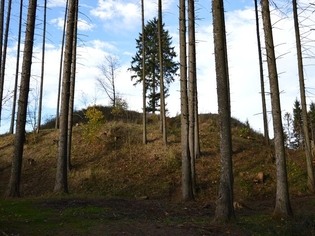 Zřícenina hradu Zubříč