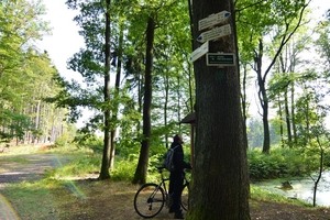 Rozcestník a jezírko u Sehradu