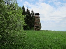 Rozhledna u obce Korytná