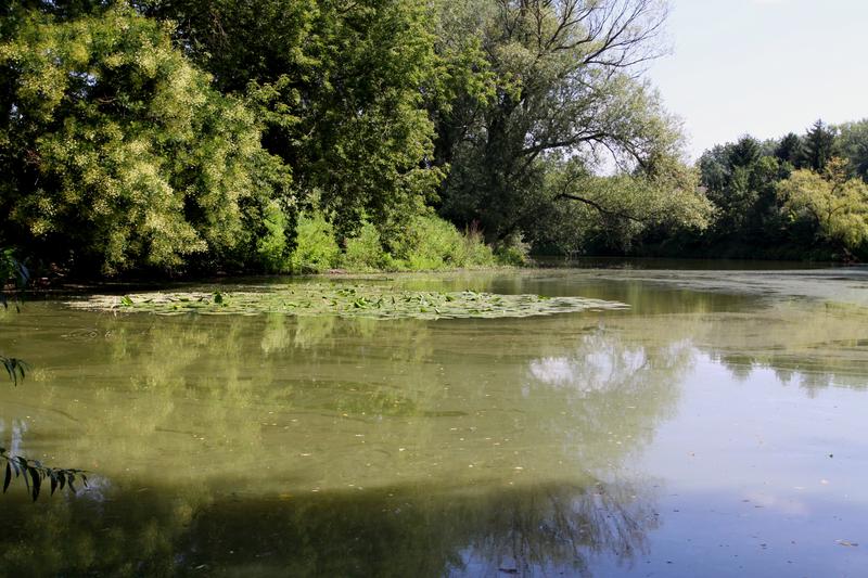 Přírodní památka Tůň u Kostelan