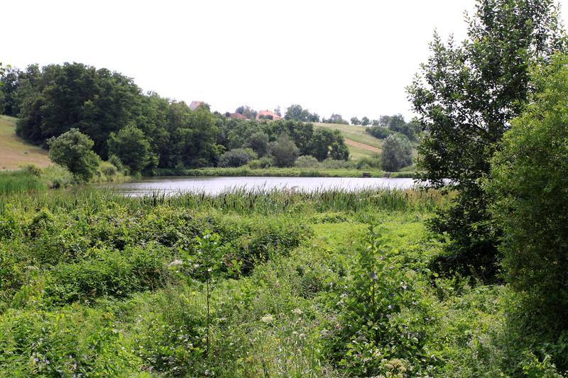 Přírodní památka Popovické rybníky