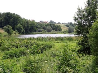 Přírodní památka Popovické rybníky