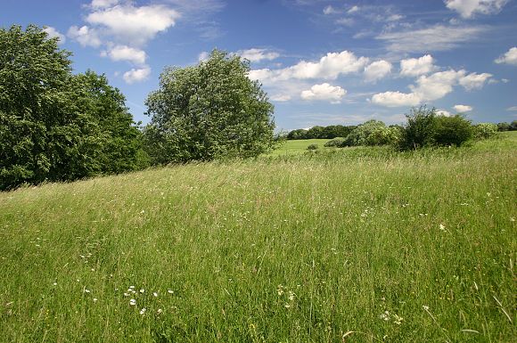 Nové louky, přírodní památka