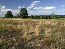 Přírodní památka Vojenské cvičiště poblíž Bzence