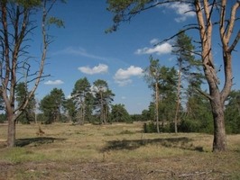 Bzenec - vojenské cvičiště