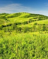 Dolní Dunajovice – NPP Dunajovické kopce