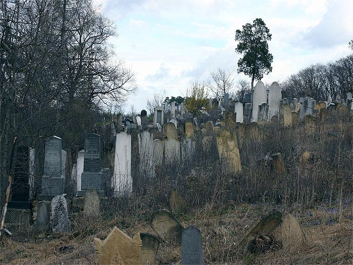 Židovská čtvrť a hřbitov