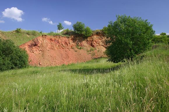 Přírodní památka Medlovický lom