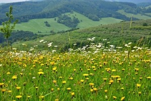 Krajina Moravských Kopanic