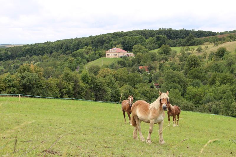Středisko enviromentálního vzdělávání - škola Maršov