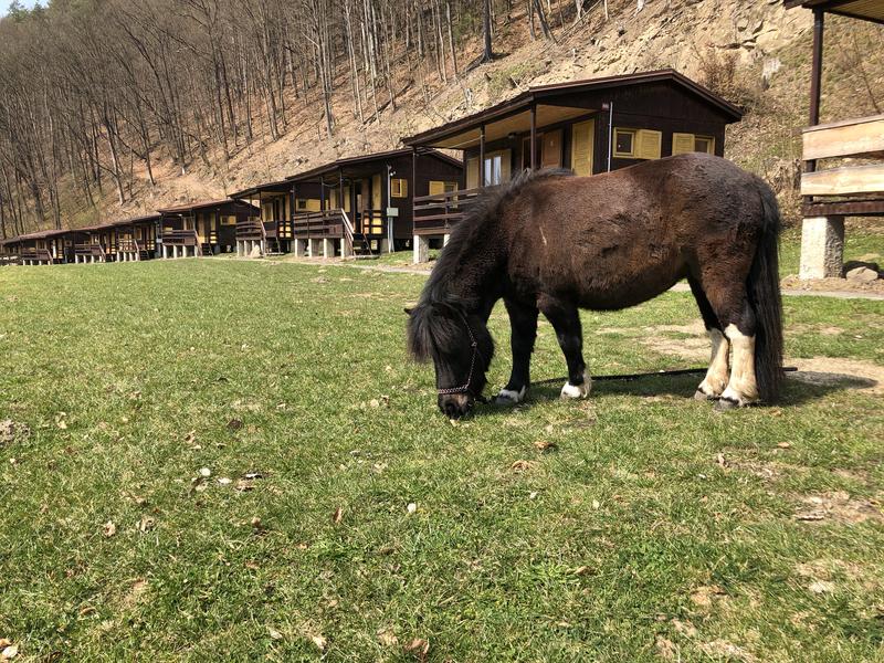 Kemp Ranč Bystřička