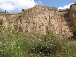 Dolní Věstonice – tzv. "Kalendář věků"