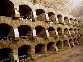 Pavlov – Obecní vinotéka