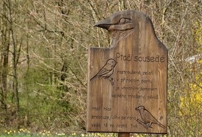 Pasekářská stezka_autor Lenka Pechová