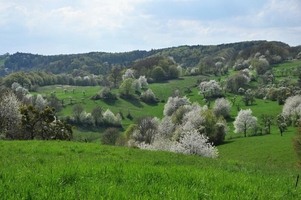 Pasekářská stezka_autor Lenka Pechová
