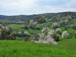 Přírodní park Želechovické paseky a Pasekářská stezka
