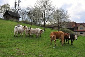 Pasekářská stezka_autor Lenka Pechová